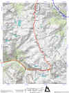Cat_3.jpg (283225 bytes)