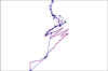 Gmn_Trm2.jpg (16859 bytes)